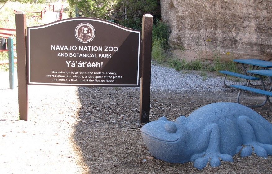 Navajo Nation Zoo (Diné Bikéyah binaaldeehii dóó chʼil danílʼínídi), United States